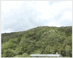  2025Ÿ��30780 �泲 ���ֽ� ������ ������ 117-1      ����(��)���