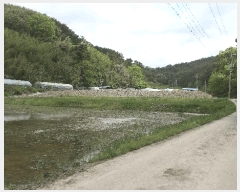  2025Ÿ��30780 �泲 ���ֽ� ������ ������ 117-1      ����(��)���