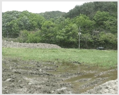  2025Ÿ��30780 �泲 ���ֽ� ������ ������ 117-1      ����(��)���