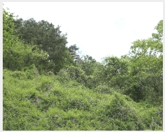  2025Ÿ��30780 �泲 ���ֽ� ������ ������ 117-1      ����(��)���