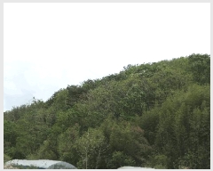  2025Ÿ��30780 �泲 ���ֽ� ������ ������ 117-1      ����(��)���