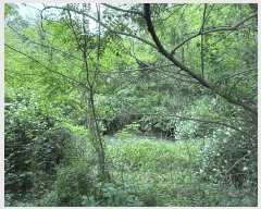  2025Ÿ��30784  ����