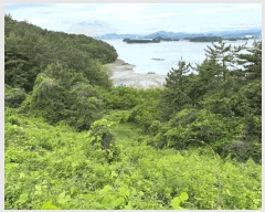  2025Ÿ��30784  ����