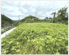  2025Ÿ��30784  ����