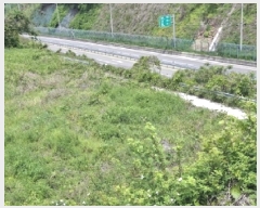  2025Ÿ��30784  ����