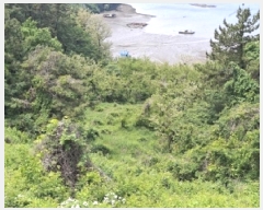  2025Ÿ��30784  ����