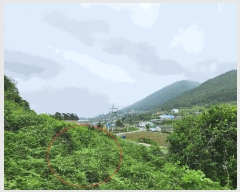  2025Ÿ��30808  �Ӿ߰��