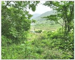  2025Ÿ��30808  �Ӿ߰��