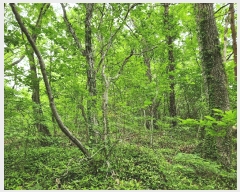  2025Ÿ��30808  �Ӿ߰��