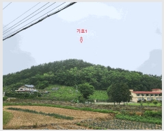  2025Ÿ��30808  �Ӿ߰��