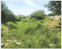  2025Ÿ��30842  �����