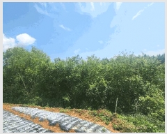  2025Ÿ��30842  �����