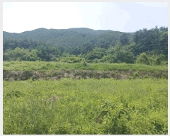  2025Ÿ��30859  �Ӿ߰��