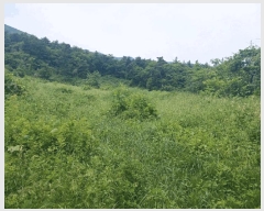  2025Ÿ��30859  �Ӿ߰��