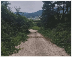  2025Ÿ��30859  �Ӿ߰��