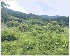  2025Ÿ��30859  �Ӿ߰��