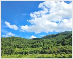  2025Ÿ��30859  �Ӿ߰��