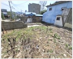  2025Ÿ��30867 �泲 ���ֽ� ���浿 169-3       ����(����)���