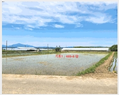  2025Ÿ��30880 �泲 ��õ�� ��浿 671-2       ����(��)���