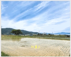  2025Ÿ��30880 �泲 ��õ�� ��浿 671-2       ����(��)���