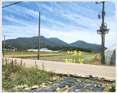  2025Ÿ��30880 �泲 ��õ�� ��浿 671-2       ����(��)���