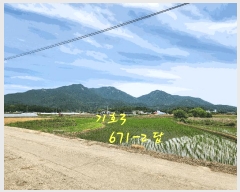  2025Ÿ��30880 �泲 ��õ�� ��浿 671-2       ����(��)���