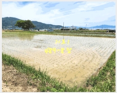  2025Ÿ��30880 �泲 ��õ�� ��浿 671-2       ����(��)���