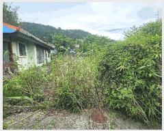  2025Ÿ��30890  �������