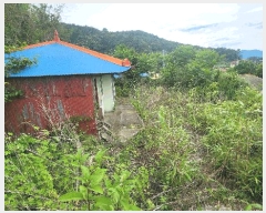  2025Ÿ��30890  �������