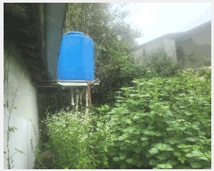  2025Ÿ��30890  �������