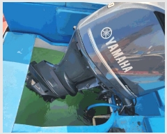  2025Ÿ29  ڰ