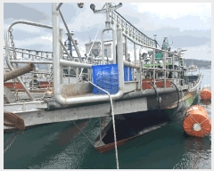  2025Ÿ508 õ õ()         ڰ