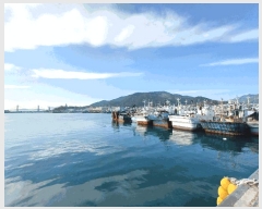  2025Ÿ510 泲 õ         ڰ