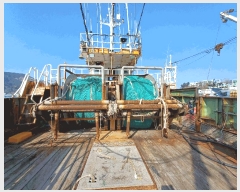  2025Ÿ510 泲 õ         ڰ