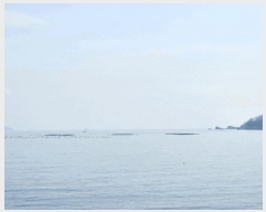  2025Ÿ515 泲 ر         ǰ