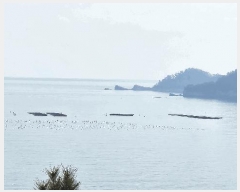  2025Ÿ515 泲 ر         ǰ