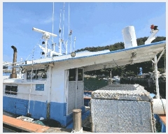  2025Ÿ594 ر  뱸        ڰ