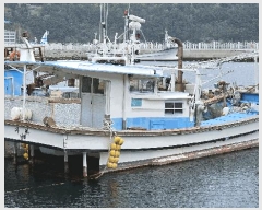  2025Ÿ594 ر  뱸        ڰ