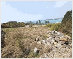  2025Ÿ605 泲 õ  ̸ 468      ٸü,󰡰