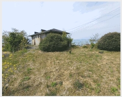  2025Ÿ605 泲 õ  ̸ 468      ٸü,󰡰