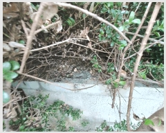  2025Ÿ605 泲 õ  ̸ 468      ٸü,󰡰