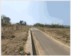  2025Ÿ605 泲 õ  ̸ 468      ٸü,󰡰