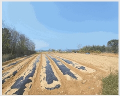  2025Ÿ605 泲 õ  ̸ 468      ٸü,󰡰