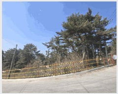  2025Ÿ��607  �Ӿ߰��