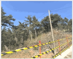  2025Ÿ��607  �Ӿ߰��