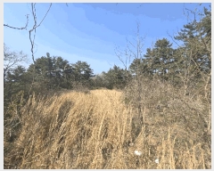  2025Ÿ��607  �Ӿ߰��