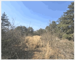  2025Ÿ��607  �Ӿ߰��