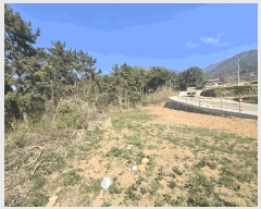  2025Ÿ��607  �Ӿ߰��