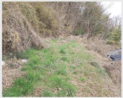  2025Ÿ��612  �������