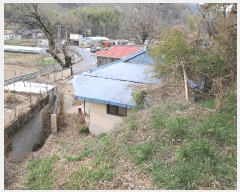  2025Ÿ��612  �������